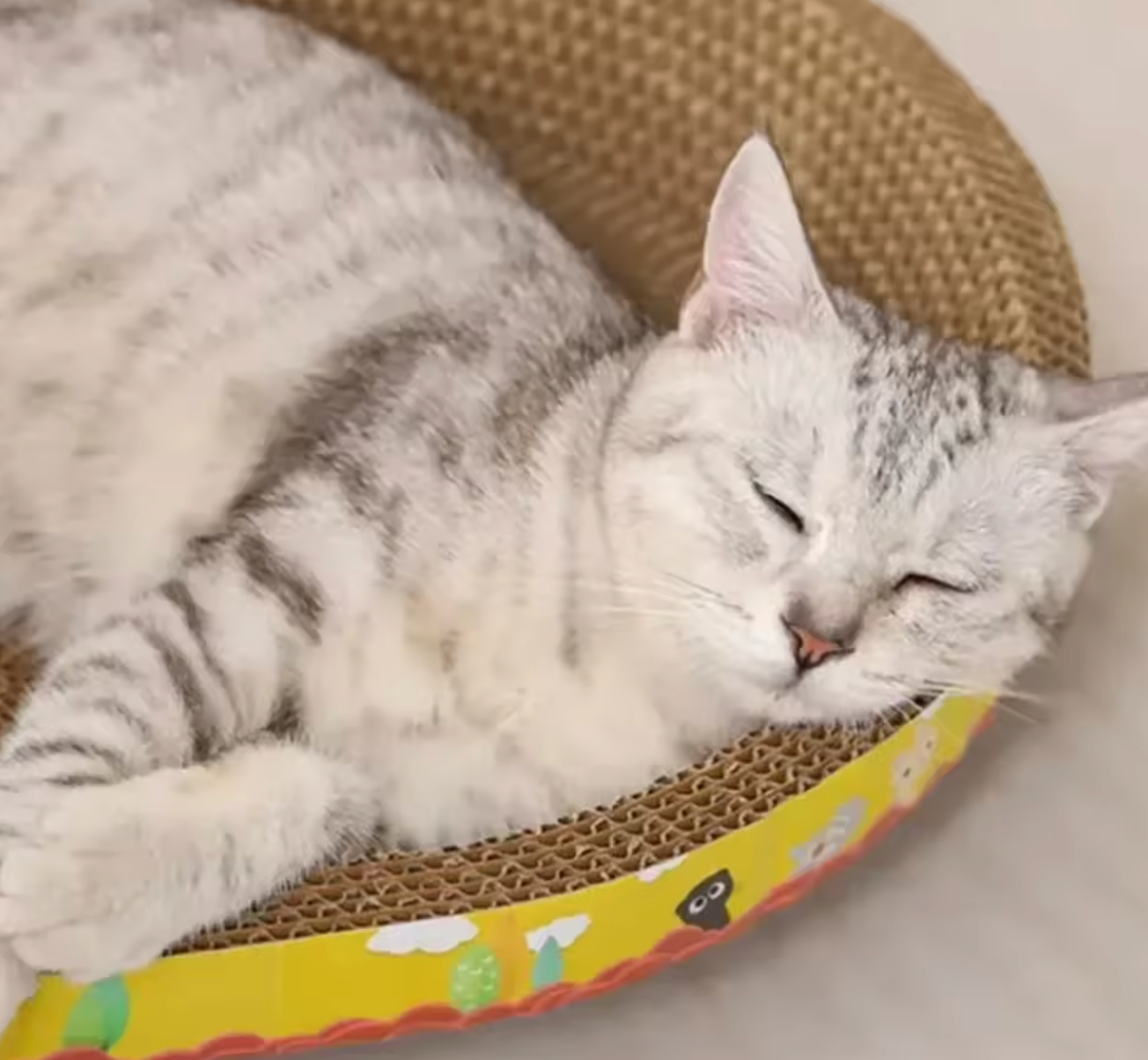 Cat Scratching Board Protect Furniture Grinding Claw Toys Oval Corrugated Paper Wear-resistant Cat Nest Cat Accessories